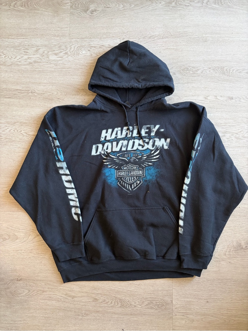 Harley-Davidson Black Hoodie with Blue Graphic 2018